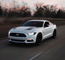 WMS 600 Package for 15-23 Mustang 5.0